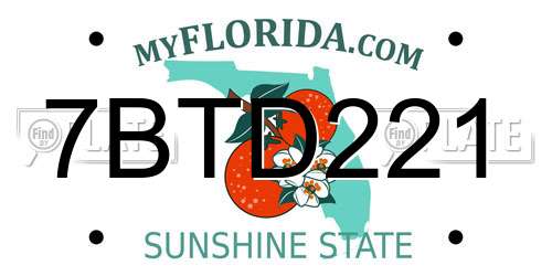 7BTD221 Florida License Plate