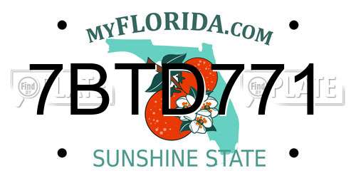 7BTD771 Florida License Plate