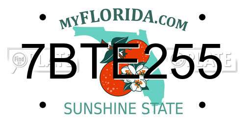 7BTE255 Florida License Plate