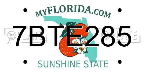 7BTE285 Florida License Plate