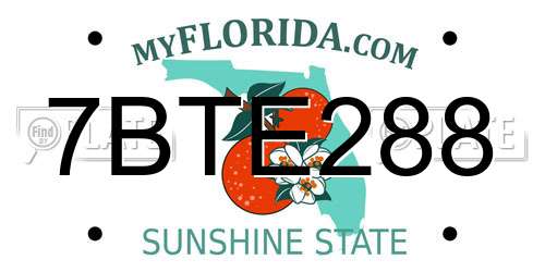 7BTE288 Florida License Plate