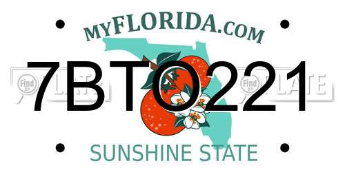 7BTO221 Florida License Plate