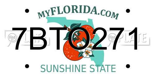 7BTO271 Florida License Plate
