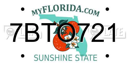 7BTO721 Florida License Plate
