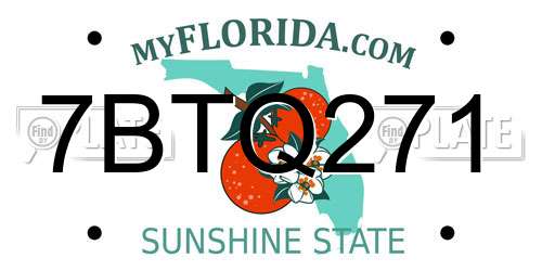 7BTQ271 Florida License Plate