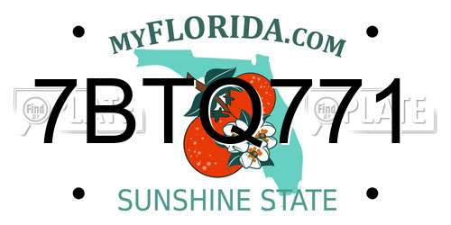 7BTQ771 Florida License Plate