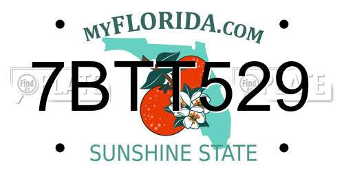 7BTT529 Florida License Plate