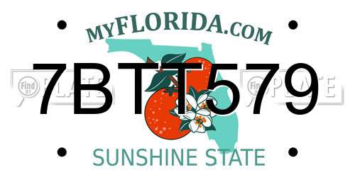 7BTT579 Florida License Plate