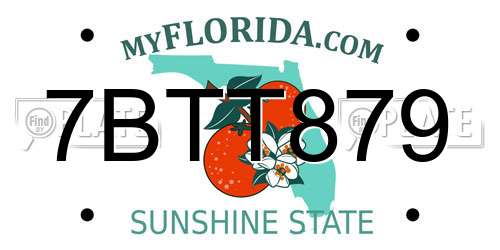 7BTT879 Florida License Plate