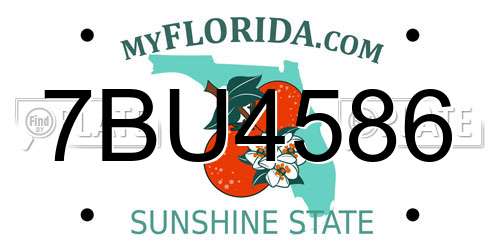 7BU4586 Florida License Plate