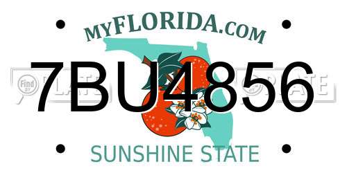 7BU4856 Florida License Plate