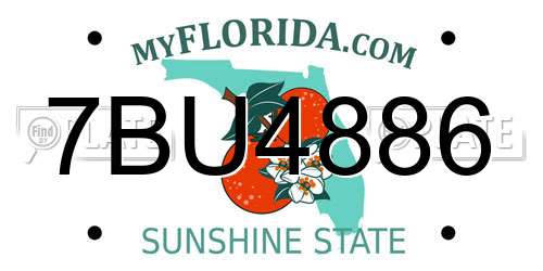 7BU4886 Florida License Plate