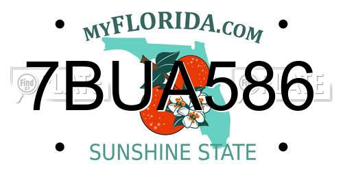 7BUA586 Florida License Plate