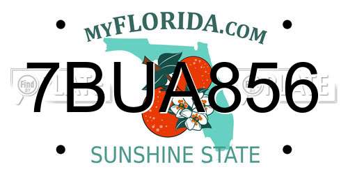 7BUA856 Florida License Plate