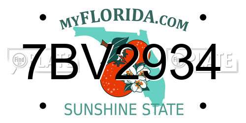 7BV2934 Florida License Plate