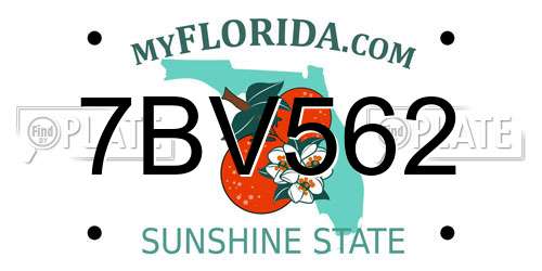 7BV562 Florida License Plate