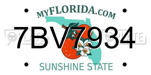 7BV7934 Florida License Plate