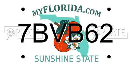 7BVB62 Florida License Plate