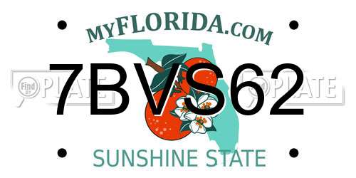 7BVS62 Florida License Plate