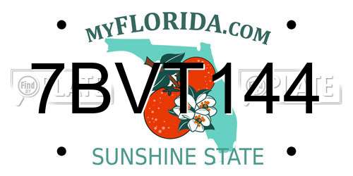7BVT144 Florida License Plate