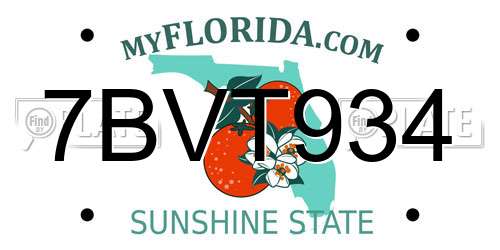 7BVT934 Florida License Plate