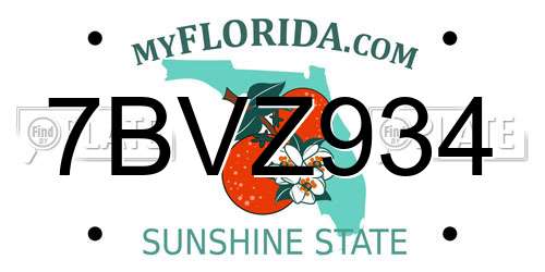 7BVZ934 Florida License Plate