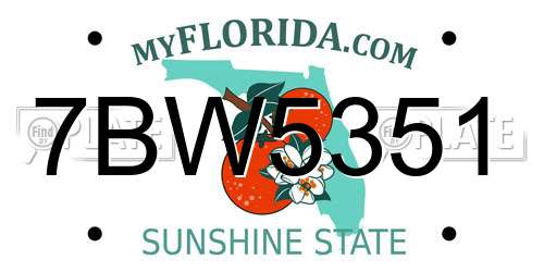7BW5351 Florida License Plate