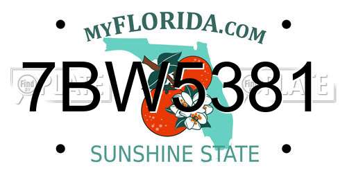 7BW5381 Florida License Plate