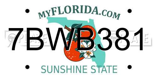 7BWB381 Florida License Plate
