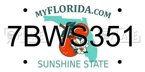 7BWS351 Florida License Plate
