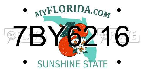 7BY6216 Florida License Plate