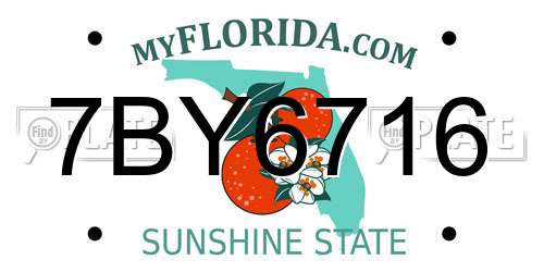 7BY6716 Florida License Plate