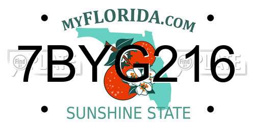 7BYG216 Florida License Plate