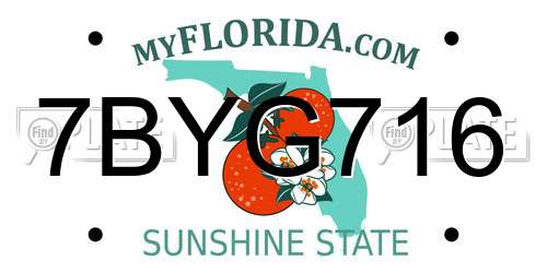 7BYG716 Florida License Plate