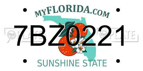 7BZ0221 Florida License Plate