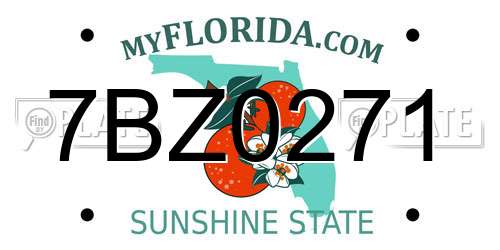 7BZ0271 Florida License Plate