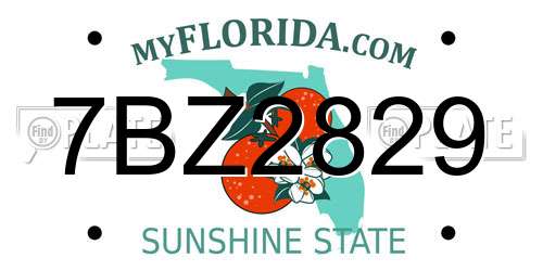 7BZ2829 Florida License Plate