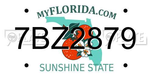 7BZ2879 Florida License Plate