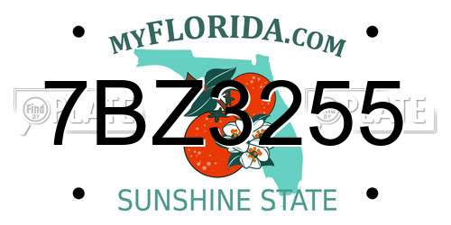 7BZ3255 Florida License Plate
