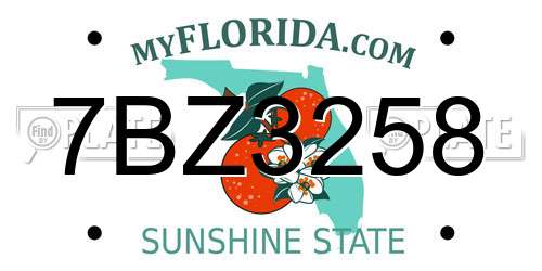 7BZ3258 Florida License Plate
