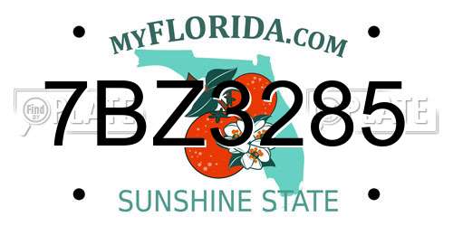 7BZ3285 Florida License Plate