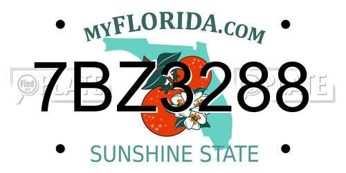 7BZ3288 Florida License Plate