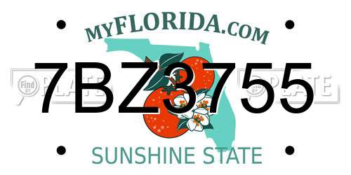 7BZ3755 Florida License Plate