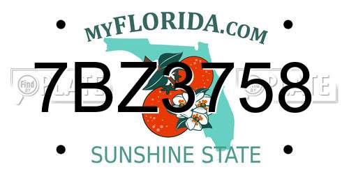 7BZ3758 Florida License Plate