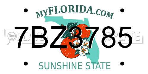7BZ3785 Florida License Plate