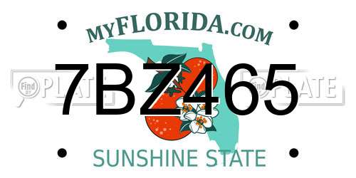 7BZ465 Florida License Plate
