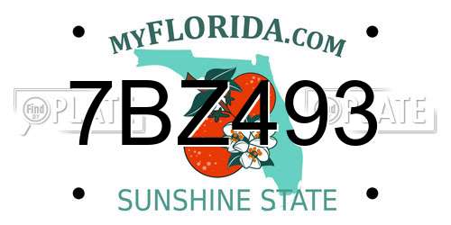 7BZ493 Florida License Plate