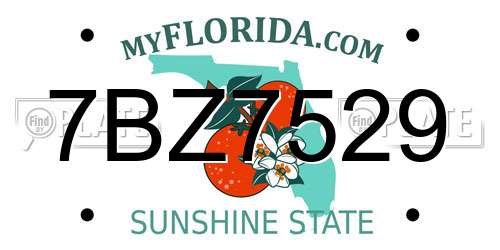 7BZ7529 Florida License Plate