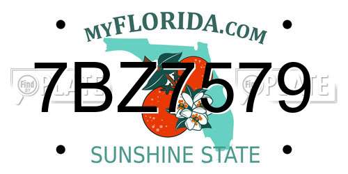 7BZ7579 Florida License Plate