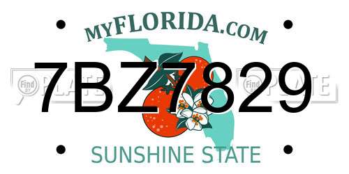 7BZ7829 Florida License Plate